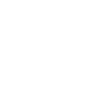 Image icon