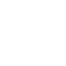 Image icon